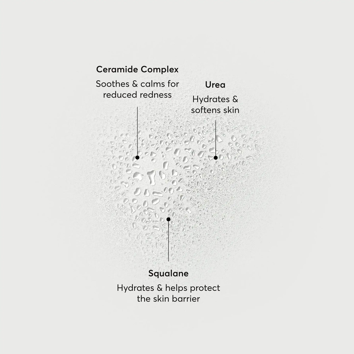 barrier-bounce-bi-phase-mist-f3 NATR-10167-Alt-Images-Barrier-Bounce-Bi-Phase-Toner-Mist_01.webp