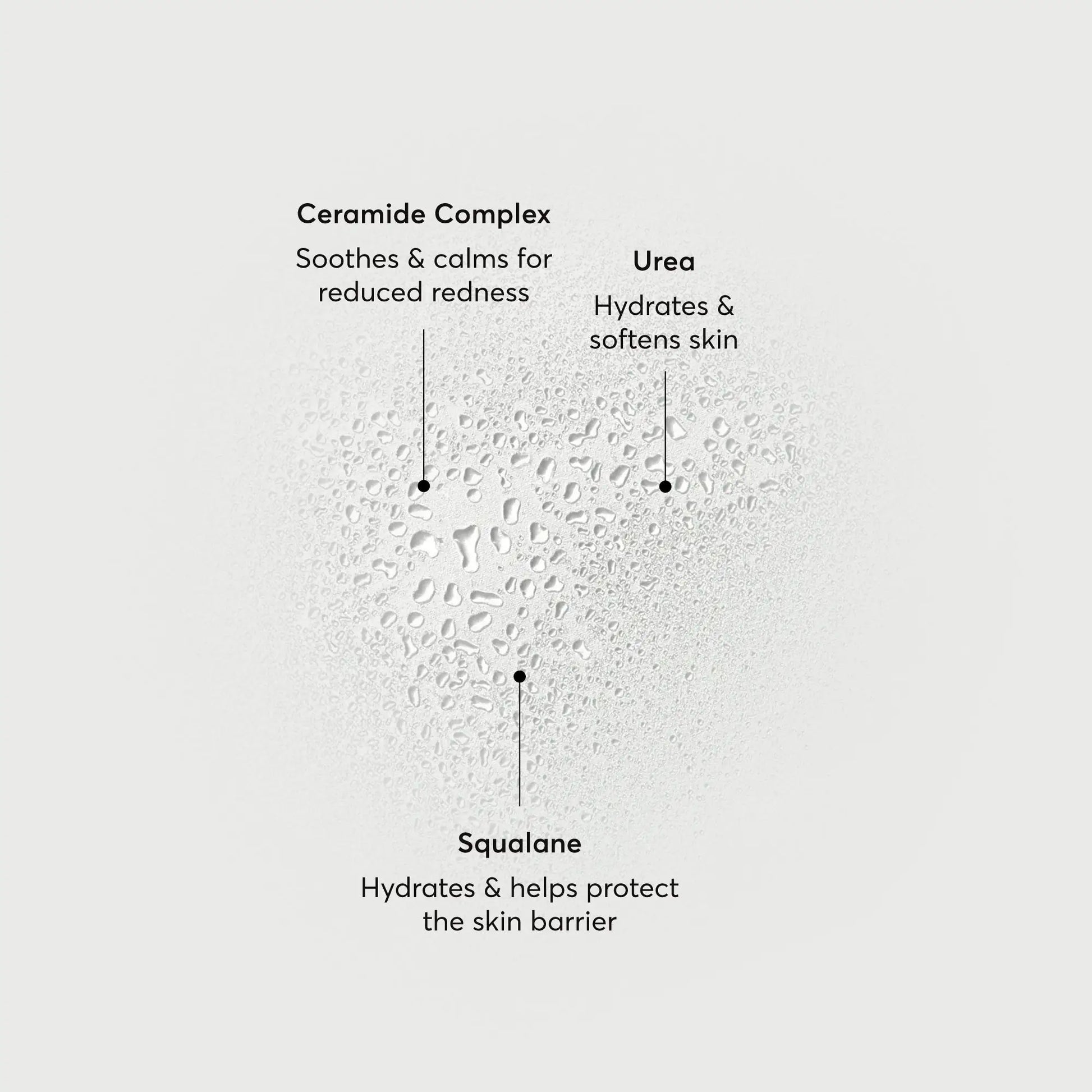 barrier-bounce-bi-phase-mist-f3 NATR-10167-Alt-Images-Barrier-Bounce-Bi-Phase-Toner-Mist_01.webp