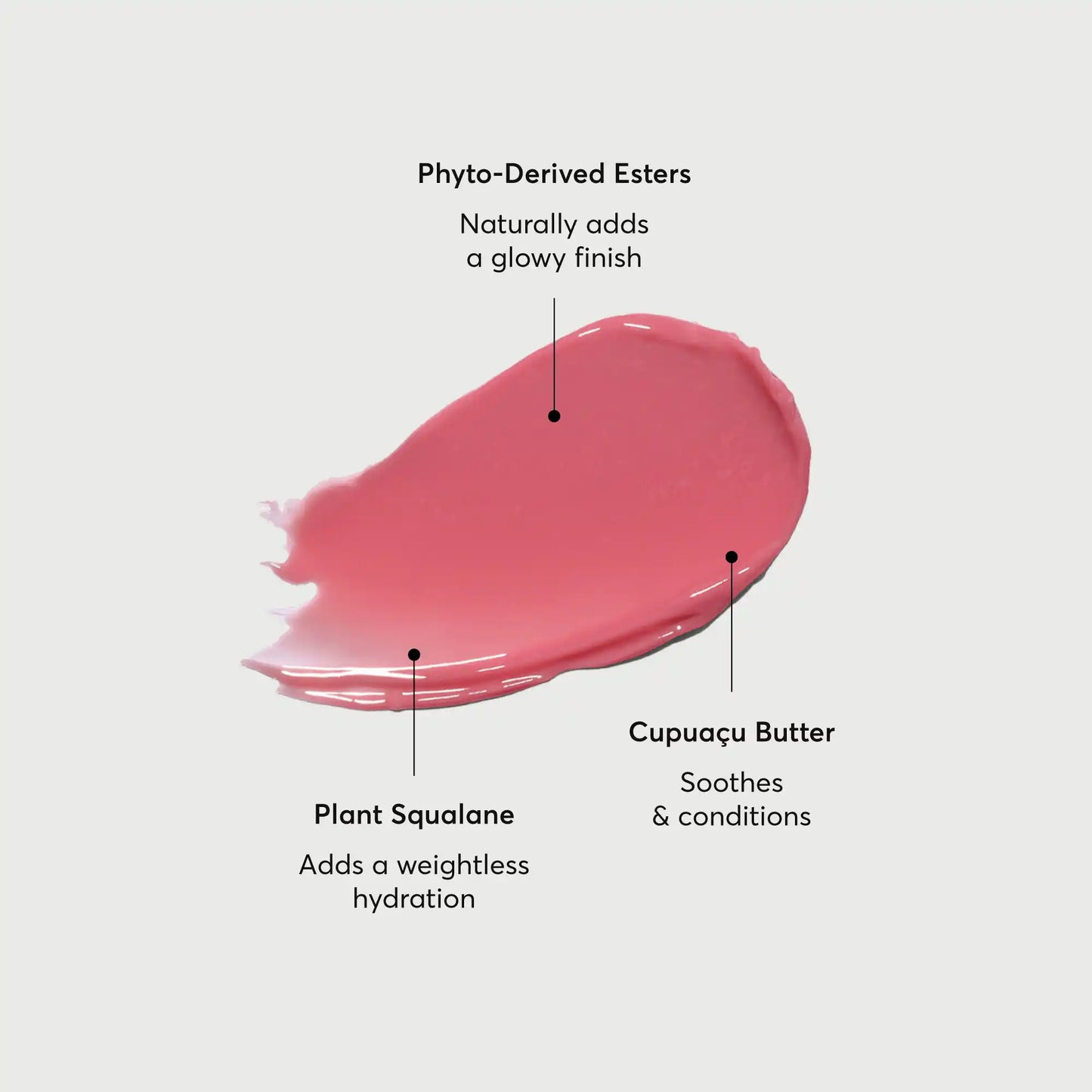 phyto-glow-lip-balm-petal-q1 NATR-60067-Alt-Images-Phyto-Glow-Lip-Balm-Petal-01.webp