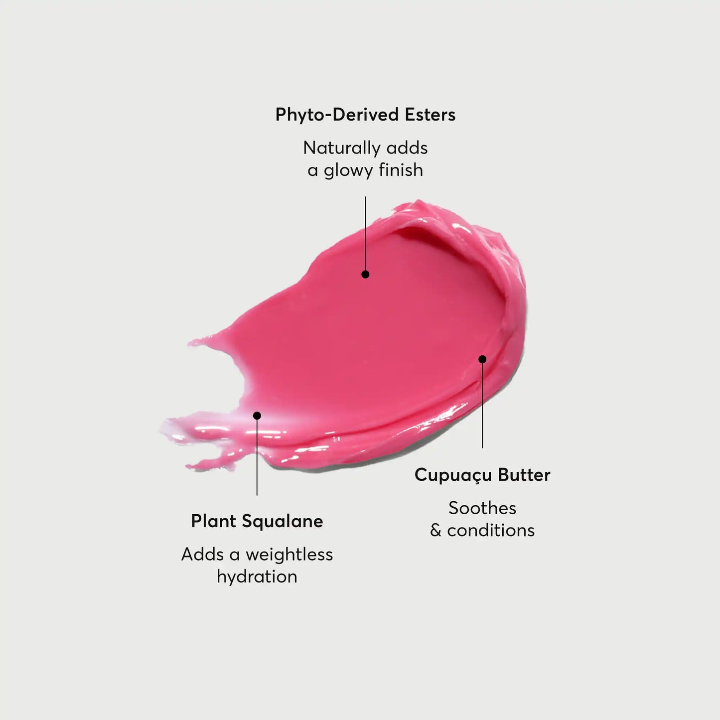 phyto-glow-lip-balm-camellia-k8 NATR-60075-Alt-Images-Phyto-Glow-Lip-Balm-Camellia-01.webp